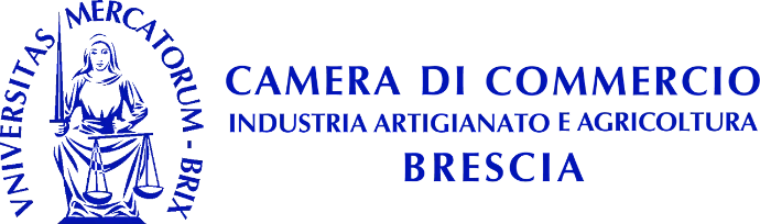 sicurezza-cantiere-idraulico-dpi-brescia.webp